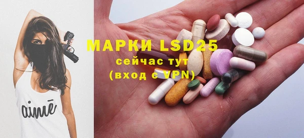ECSTASY Богородск