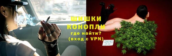 прущие грибы Богородицк