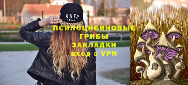 первитин Белокуриха